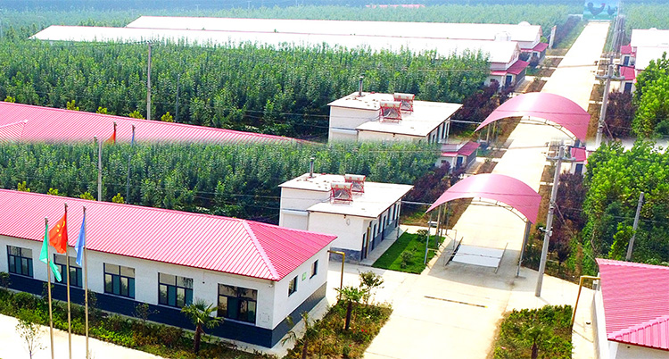 山東金秋農牧科技股份有限公司