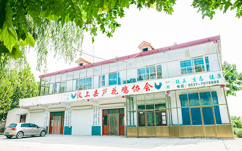 汶上縣蘆花雞協會