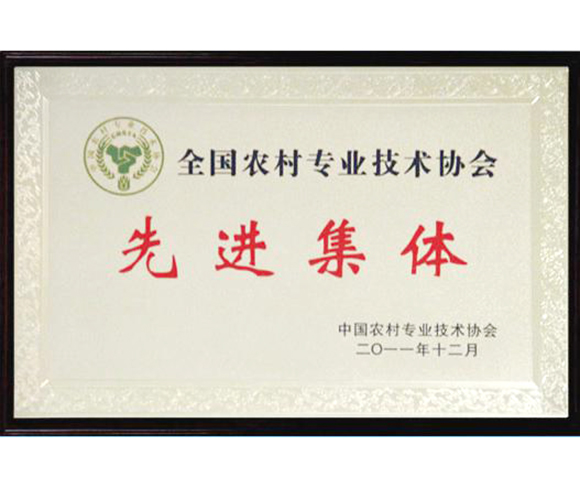 全國農村專業技術協會先進集體