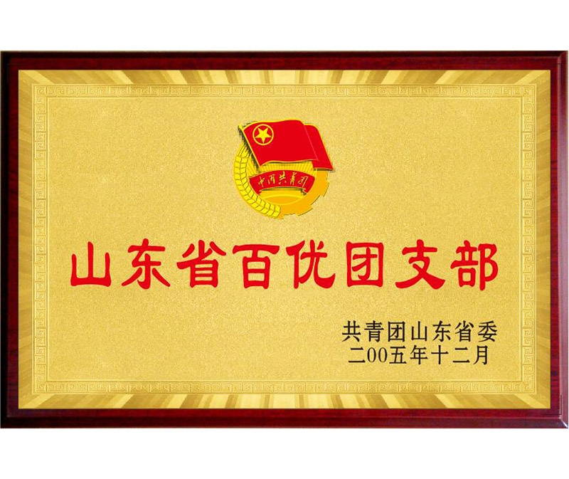 山東省百優團支部