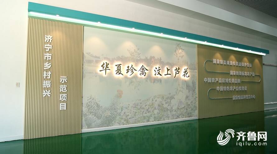 【齊魯網】濟寧2022上半年重點項目巡禮：汶上蘆花雞全產業鏈標準化生產基地項目 - 副本
