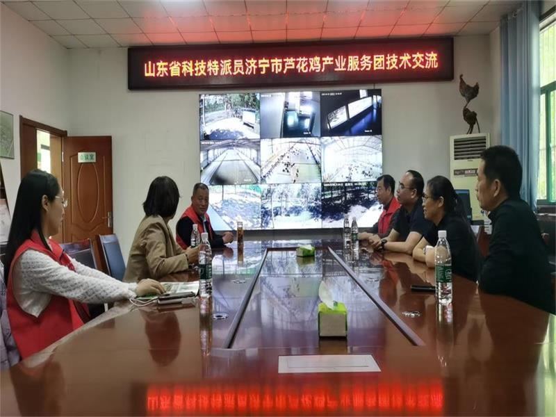 山東省科技特派員濟寧市蘆花雞產業服務團開展技術交流指導